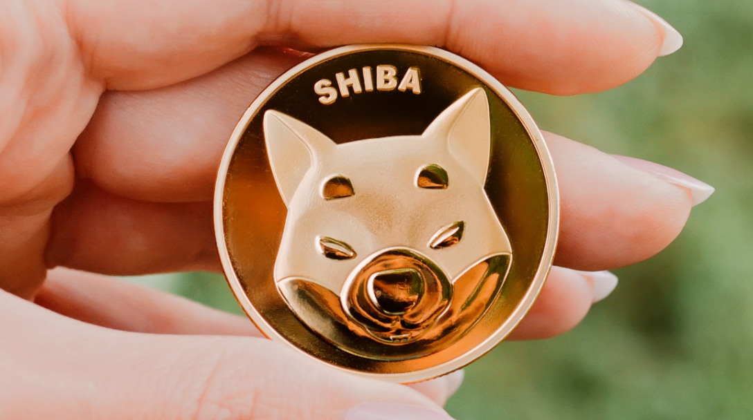 2023 Shiba