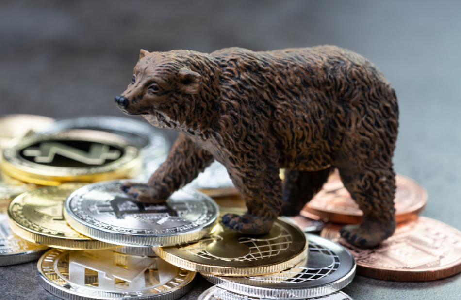 Survive the Crypto Bear Market